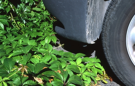 How to Clean Extremely Stained Wheels