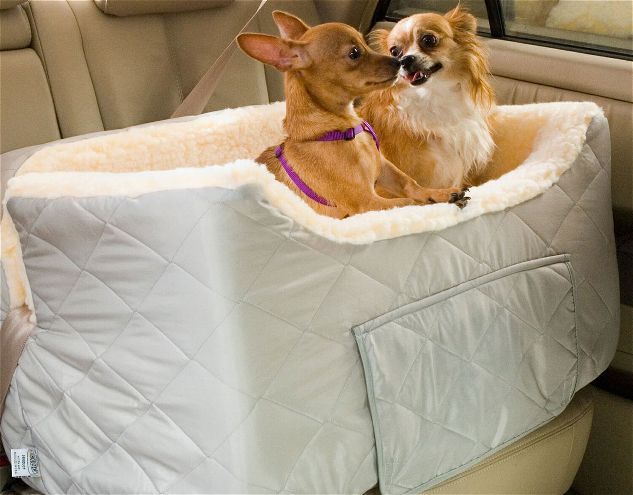 Pet Travel Safety Tips and Products