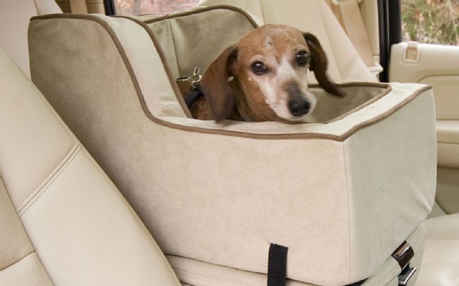 Pet Travel Safety Tips and Products